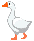 goose